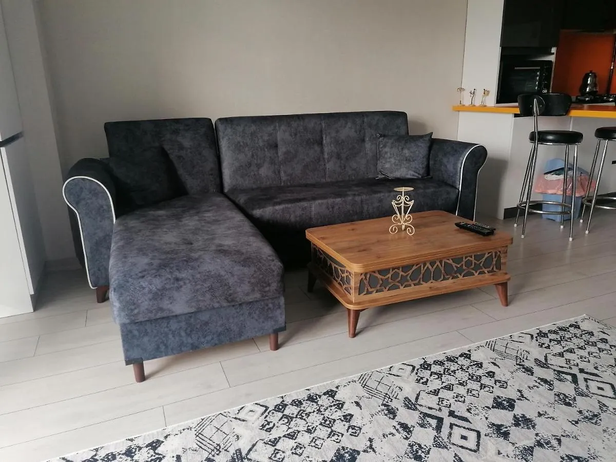Ankara Esenboga Airport Luxury Rezidance Apart 0*,